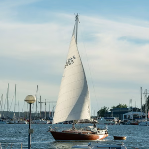 margo-evardson-EGA8itHavf0-unsplash